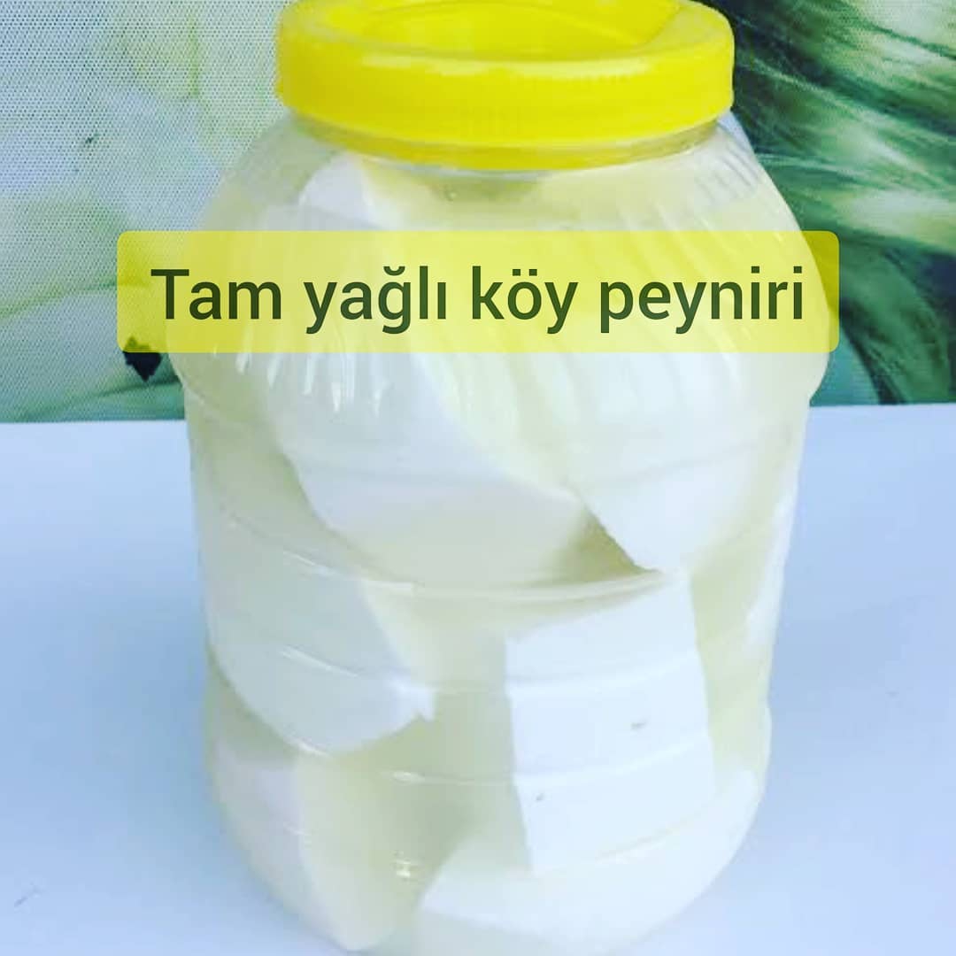 Yörük Taze Yayla Peyniri 5 lik Bidon