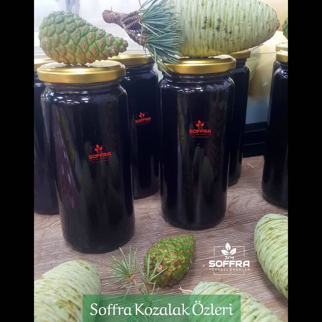 Kozalak Özü