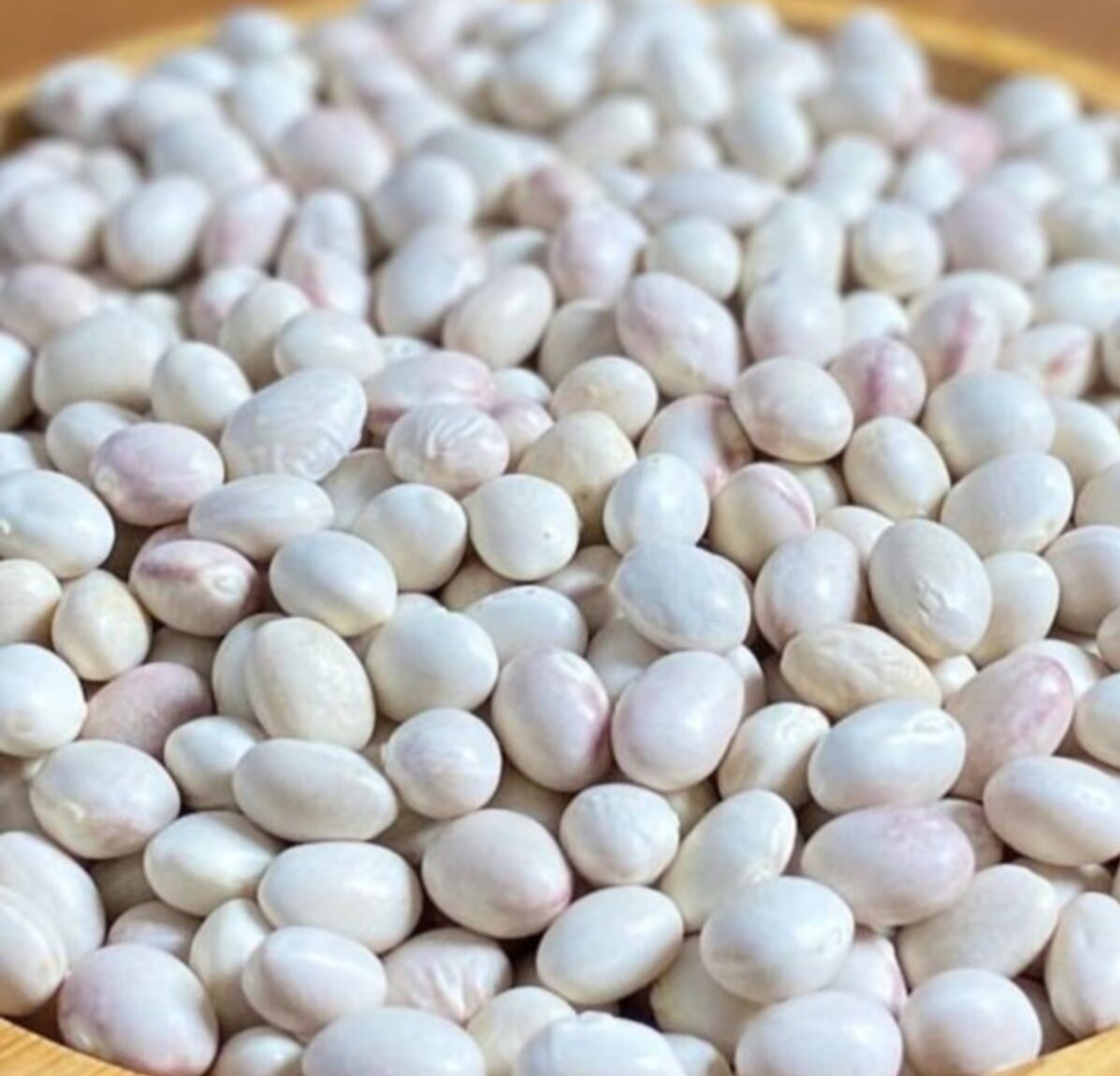 İspir Fasulyesi Kuru