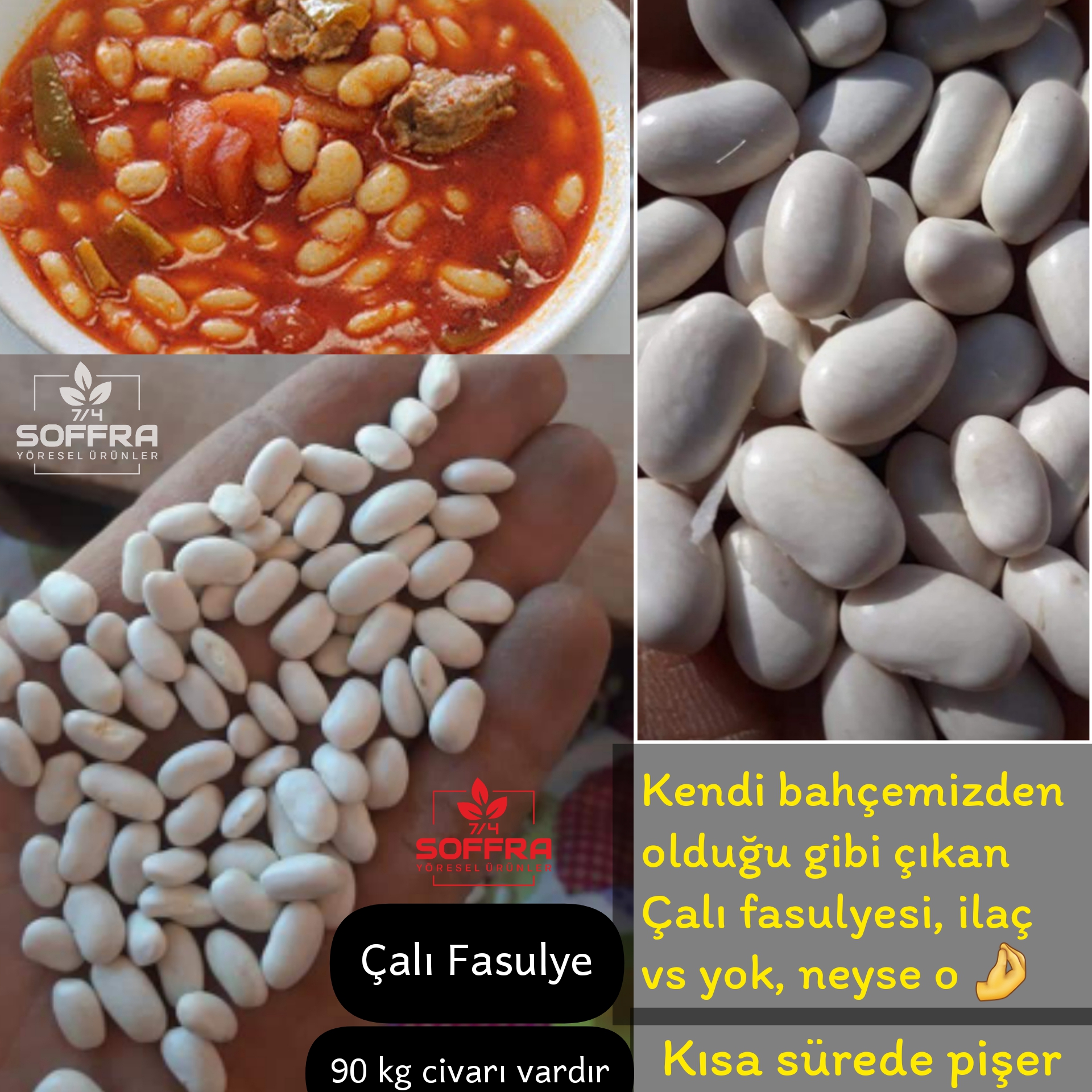 Çalı Fasulyesi Kuru
