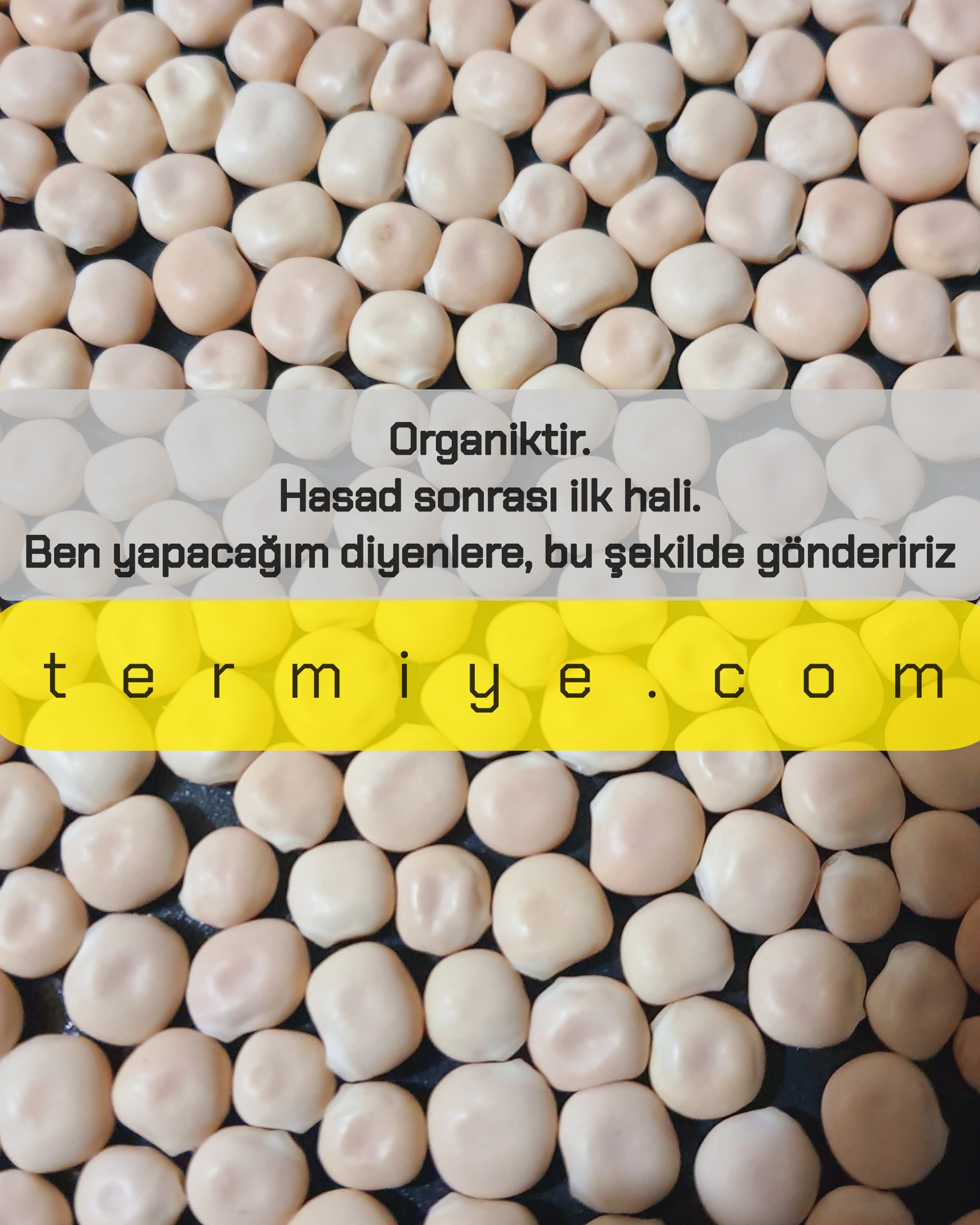 Organik Termiye Tirmis (Yeni Hasat Kuru) 1 kg 