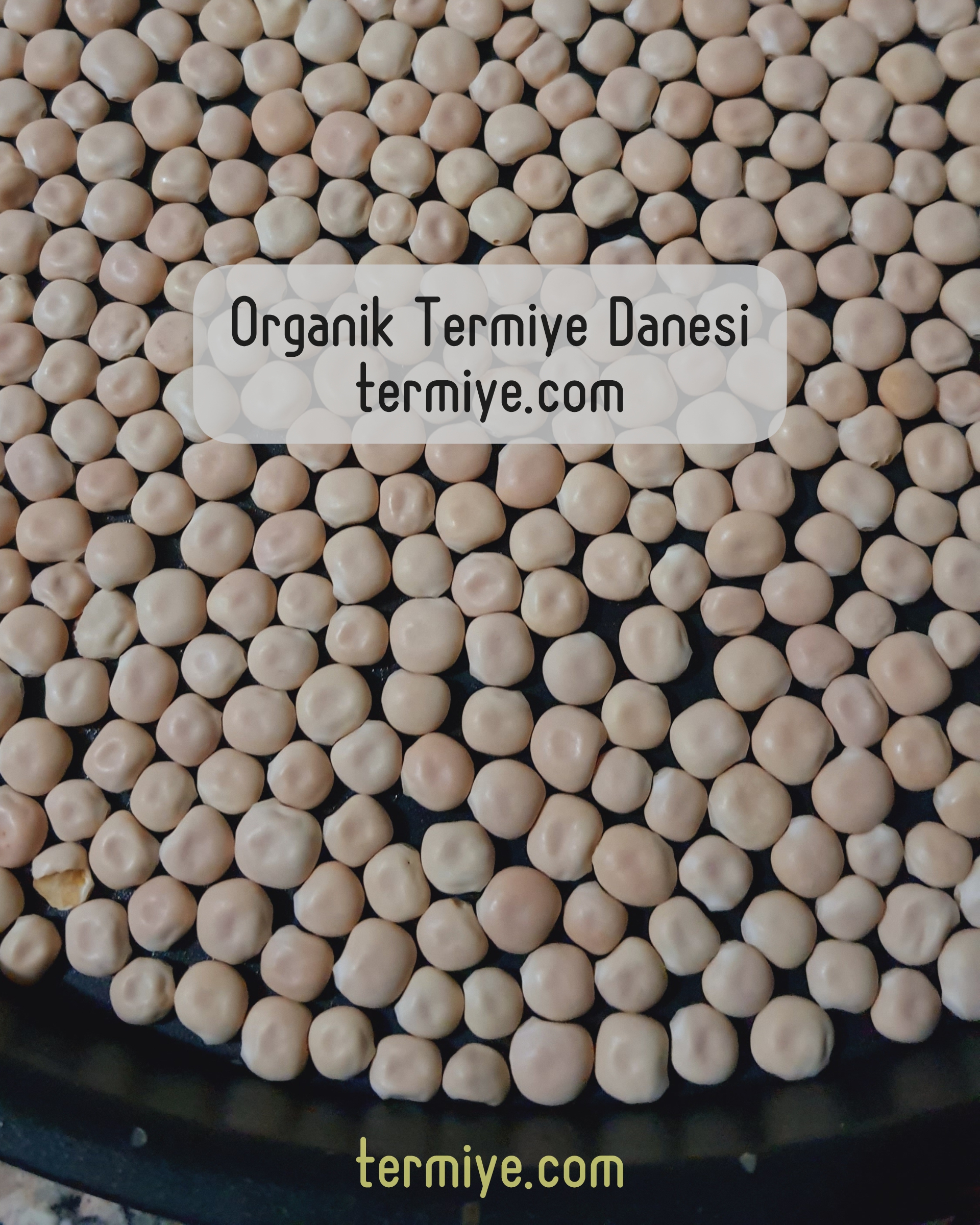 Organik Termiye Tirmis (Yeni Hasat Kuru) 1 kg 