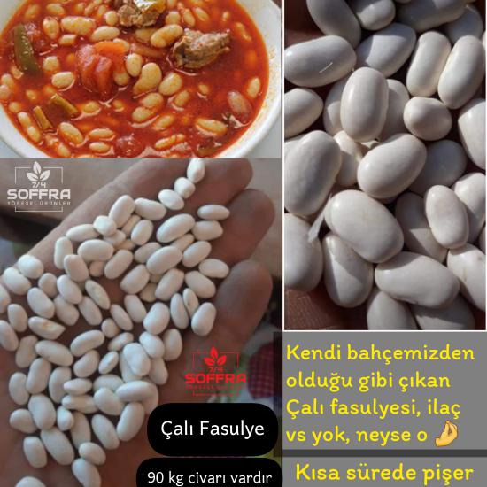 Çalı fasulye